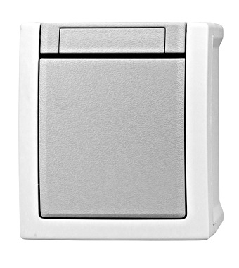 Buton dublu, 10A, PT, cleme elastice, IP54 Schrack