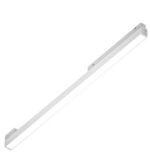 f_liep00394-